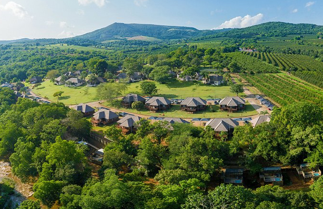 Zimangaliso LLK Tours image